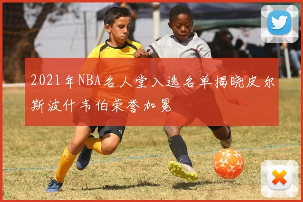 2021年NBA名人堂入选名单揭晓皮尔斯波什韦伯荣誉加冕