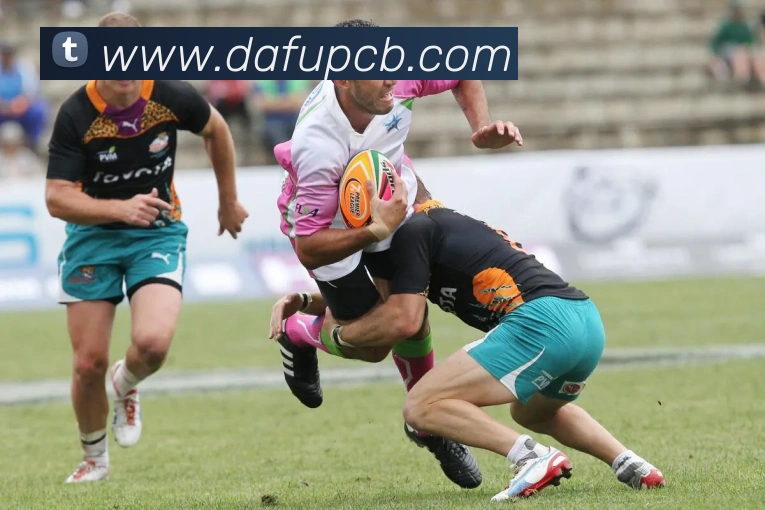奖项证书
